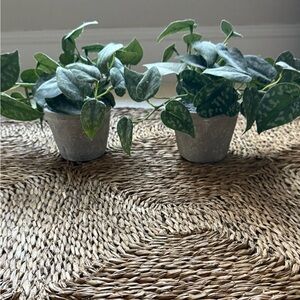 Artificial Set of Faux Potted Plants for Home Accents from Hearth & Hand